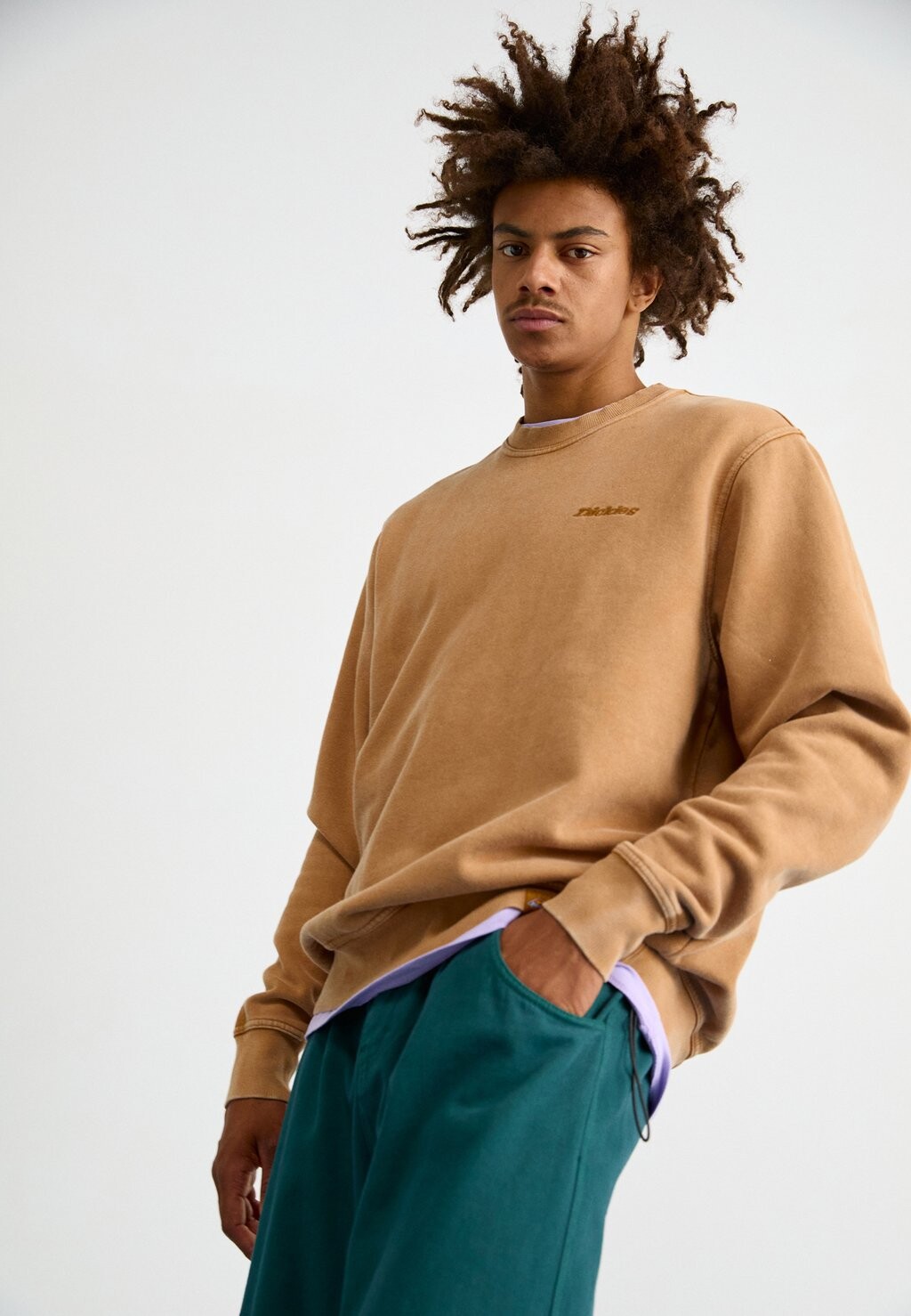 

Толстовка с капюшоном PLENTYWOOD Dickies, коричневый