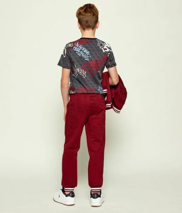 Спортивные штаны regular fit Guess, бордовый — фото 2
