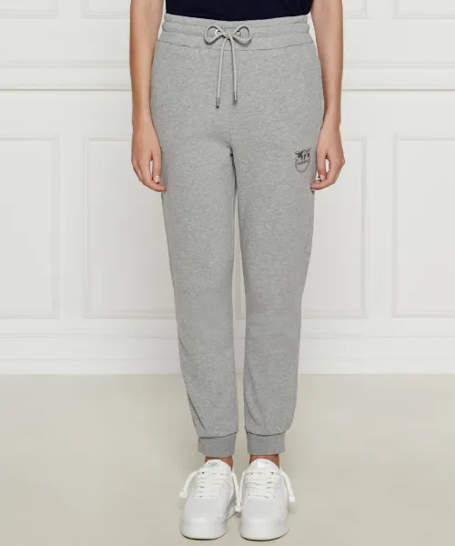 

Загруженные спортивные штаны Regular fit Pinko, серый