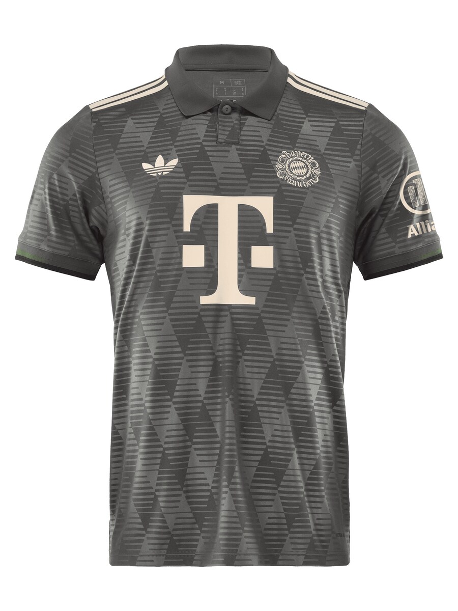 

Джерси FC BAYERN MÜNCHEN FC Bayern München 2024, серый
