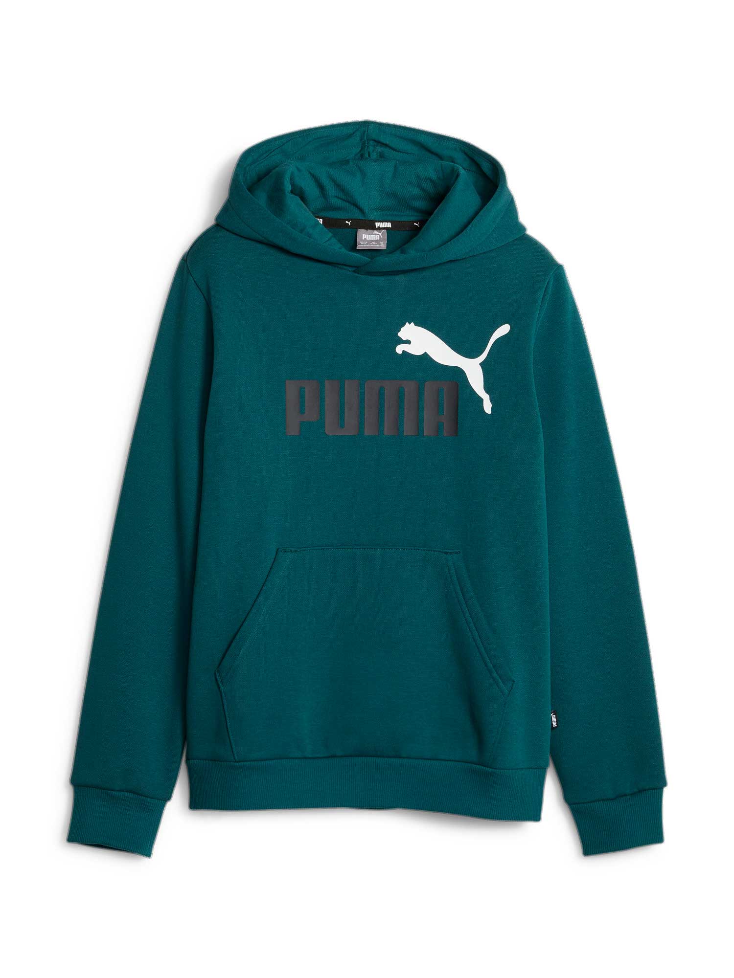 

Толстовка Puma ESS+ 2 Col Big Logo Hoodie FL B, зеленый