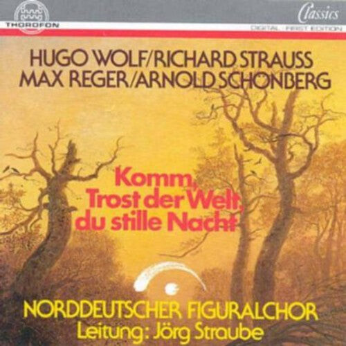 

CD диск Wolf / Straube, Jorg: Come Consolation of the World