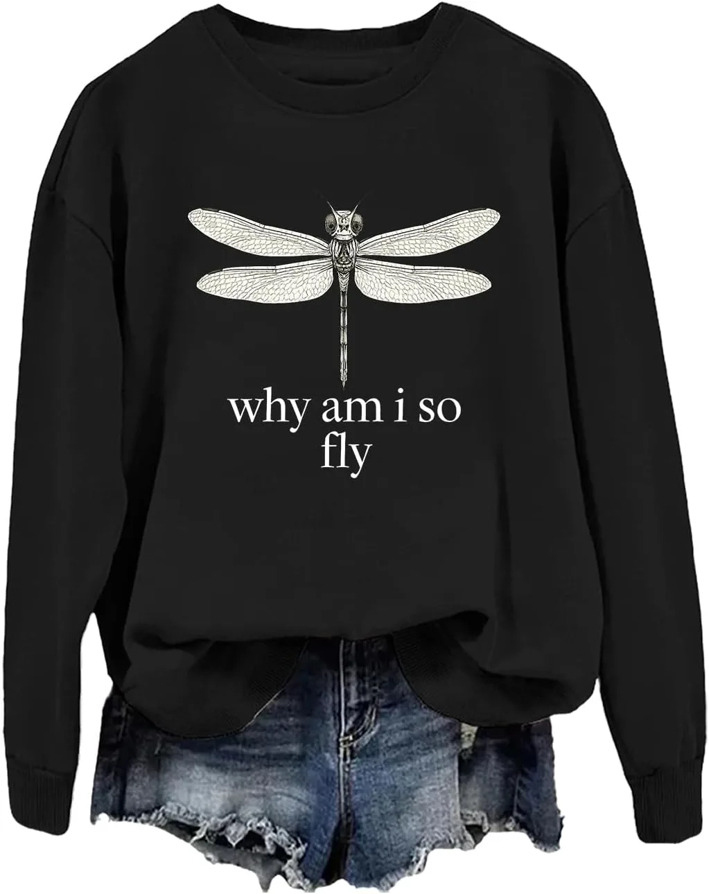 

Толстовка Why Am I So Fly с принтом стрекозы WBUMONN