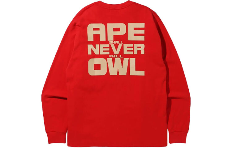 Футболка из коллекции Bape X Ovo Осень/Зима 2021 унисекс A Bathing Ape, черный — фото 2