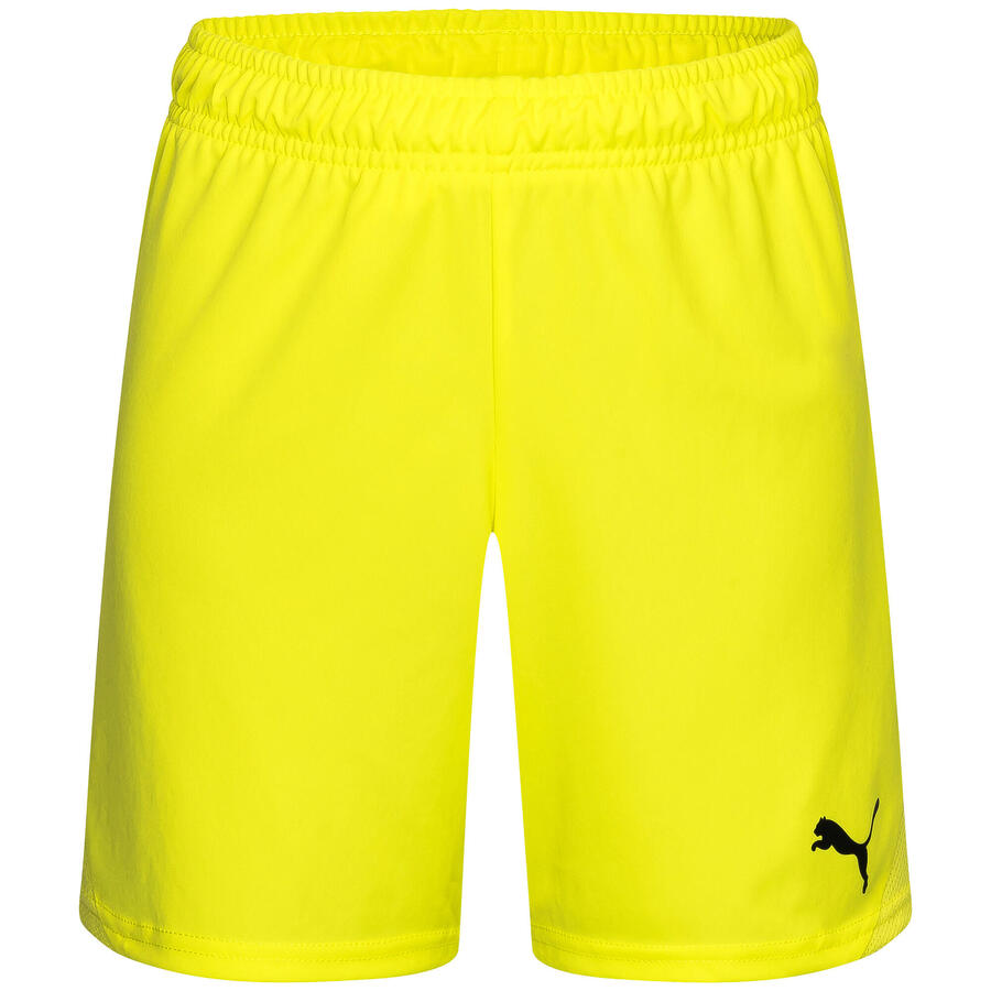 

Детские шорты Puma teamGOAL Shorts Jr 705753