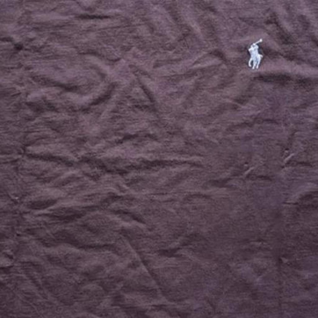 Футболка мужская Chocolate Polo Ralph Lauren — фото 4