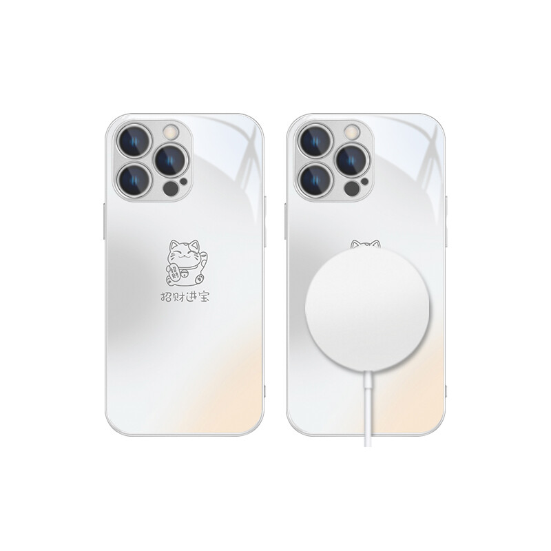 

Чехол для телефона MSMF Us 10 Cents Msmf, DWKJBLCX315 - Magnetic Phantom Gray
