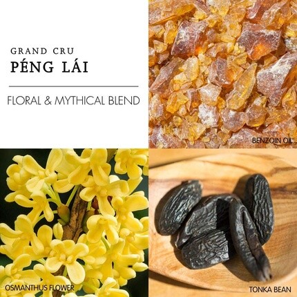 Berdoues Peng Lai Eau De Parfum 100ml — фото 3