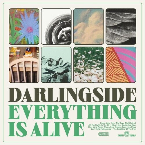 

Виниловая пластинка Darlingside - Everything Is Alive
