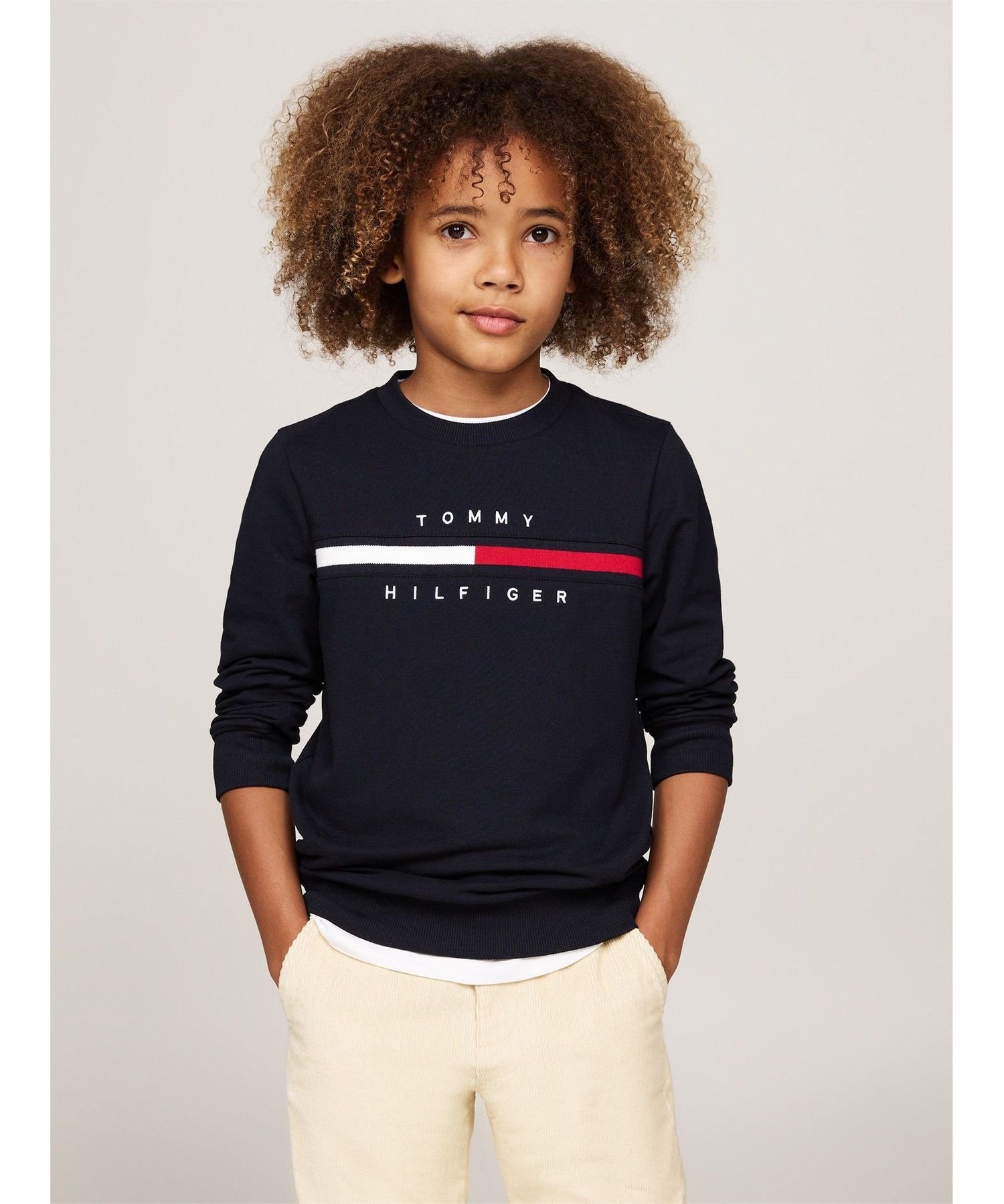Толстовка с логотипом флага для мальчиков TOMMY HILFIGER, Navy DW5
