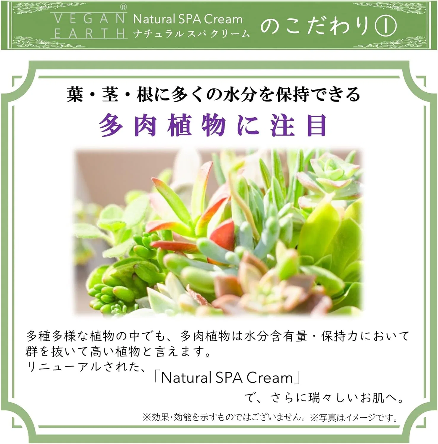 Крем для лица Vegan Earth — Дневной Natural SPA Cream, 40 г — фото 3