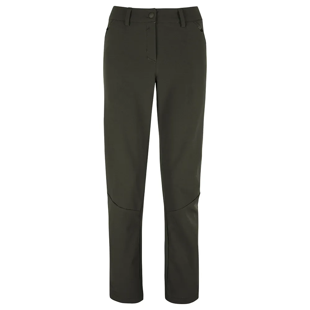 

Брюки Salewa Terminal Durastretch, зеленый