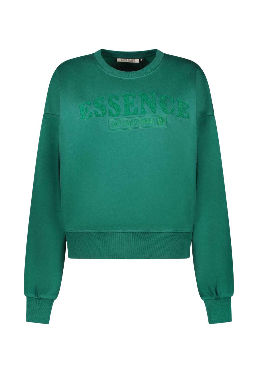 

Толстовка Cars Jeans Sweatshirt, Green/Mottled Green