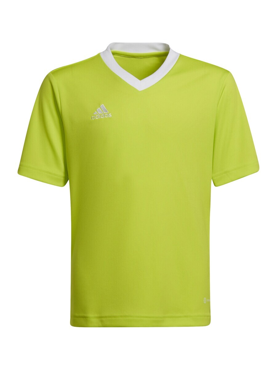 

Топ ADIDAS PERFORMANCE Performance Shirt Entrada 22, светло-зеленый