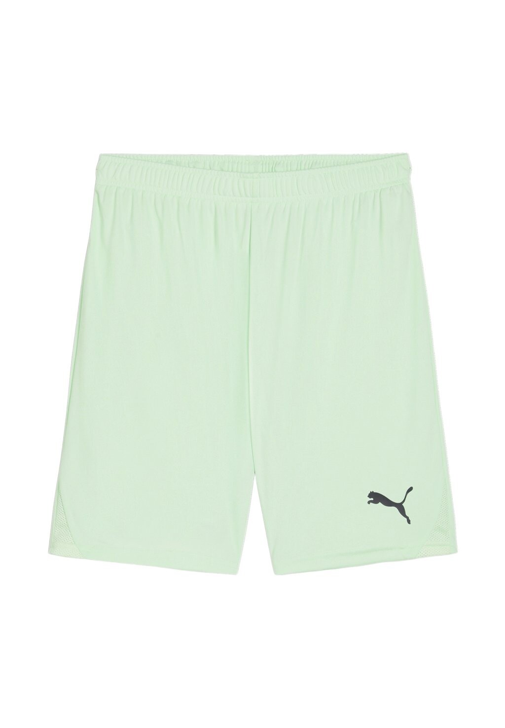 

Спортивные шорты TEAMGOAL Puma, цвет gruenschwarz