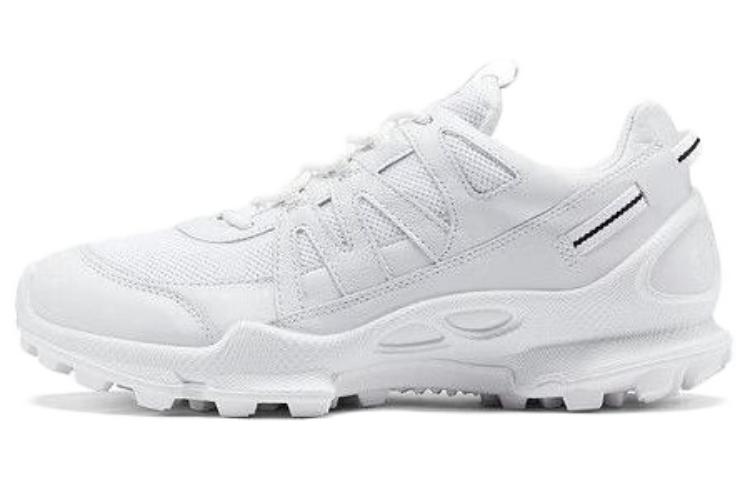 

Ecco Кроссовки мужские Striding C Low Top Trekking, белые