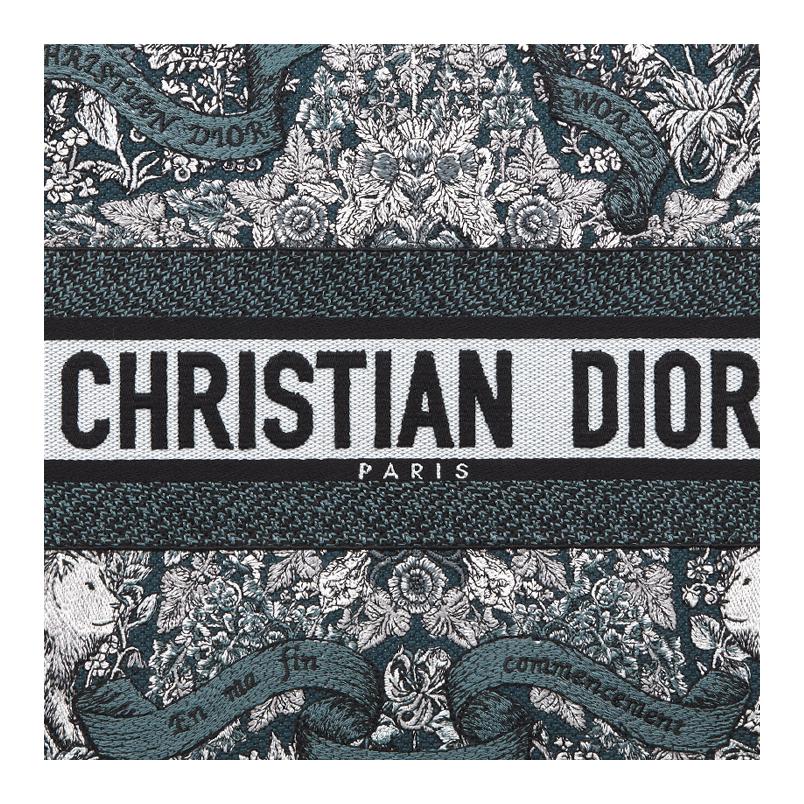 Сумка-шоппер из ткани BookTote, средний размер, женская, сине-белая DIOR — фото 4