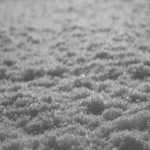 

CD диск Paysage D'Hiver: Schnee