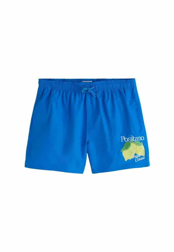 Шорты для плавания Regular fit Positano Embroidered Next, синий