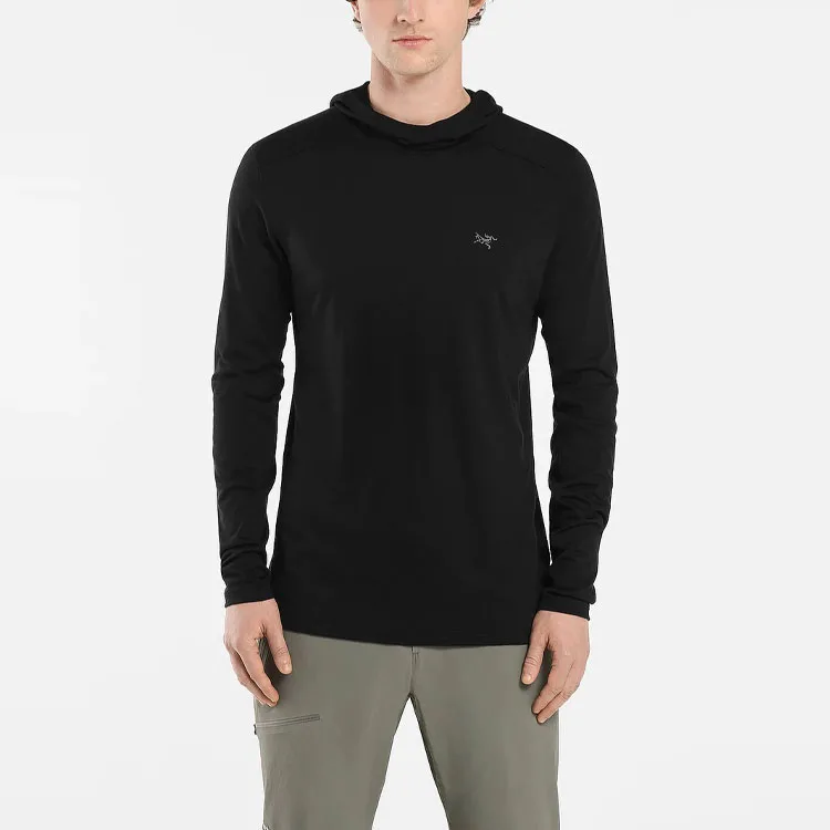 Толстовка из мериносовой шерсти Ionia для мужчин Arcteryx, Silver Phantom Purple/IOLA — фото 4