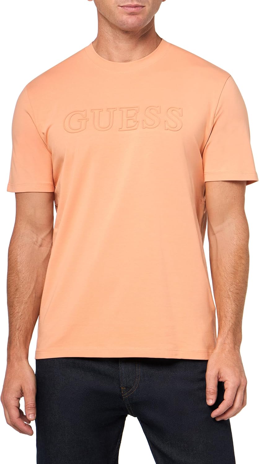 

Мужская футболка Alphy с коротким рукавом Guess, Fuji Sunrise