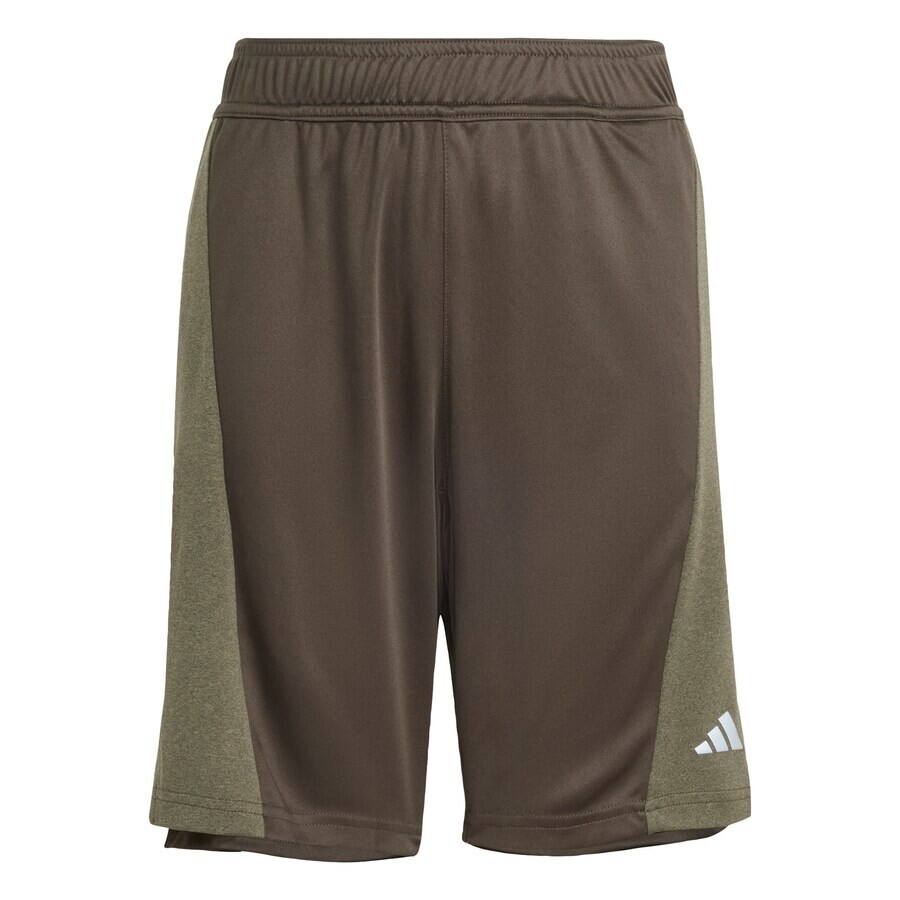 

Брюки ADIDAS SPORTSWEAR Regular Workout Pants, зеленый/оливковый