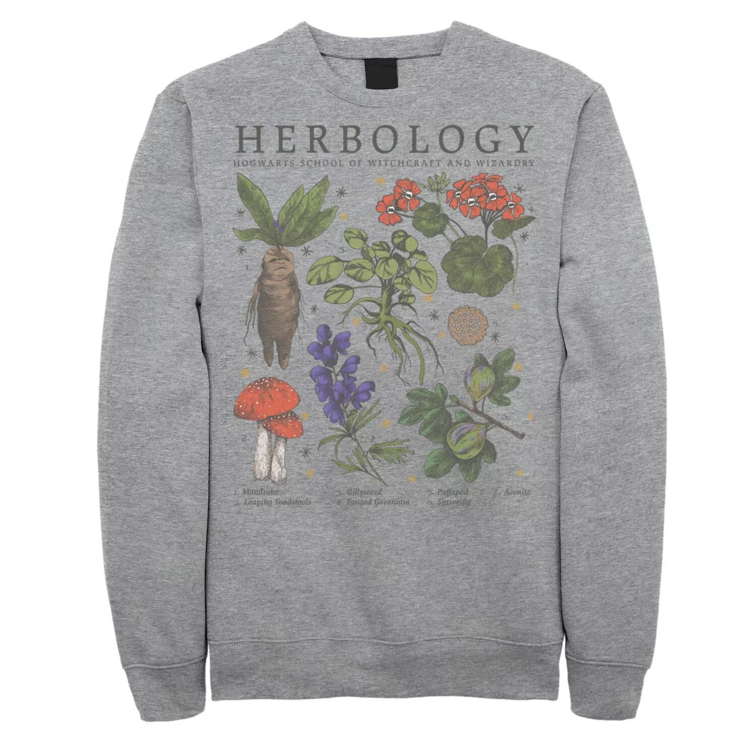 

Мужской свитшот Deathly Hollows 2 Herbology Lineup Harry Potter