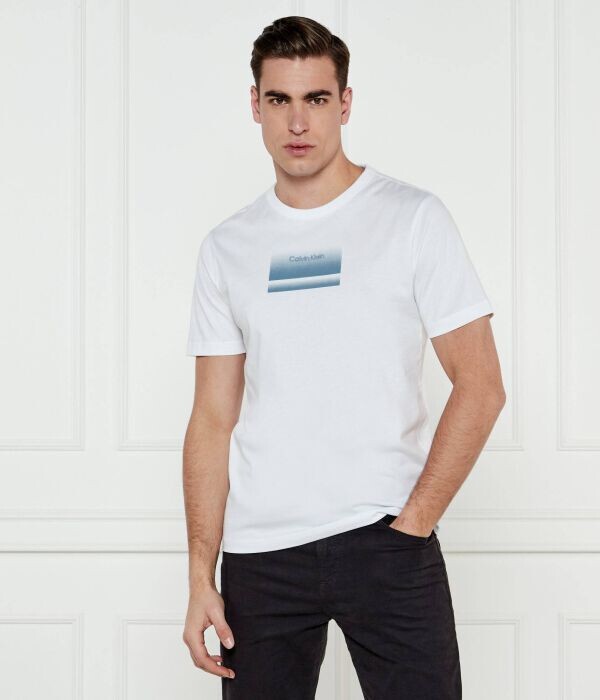 

Футболка мужская Calvin Klein с синим принтом, белый