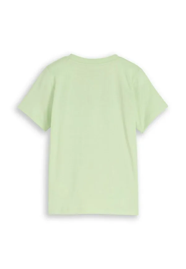Футболка с принтом Tom Tailor, Frozen Lime Green — фото 2