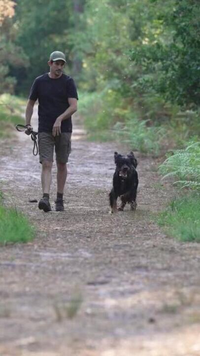 

Мужские бермуды Solognac 500