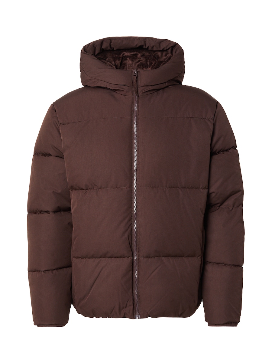 

Зимняя куртка HOLLISTER, коричневый