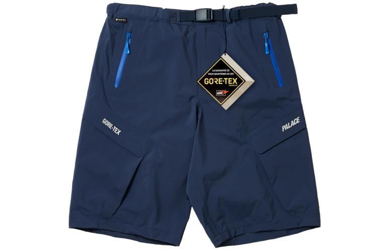 

Шорты GORE TEX R Tek Cargo Short PALACE, темно-синий