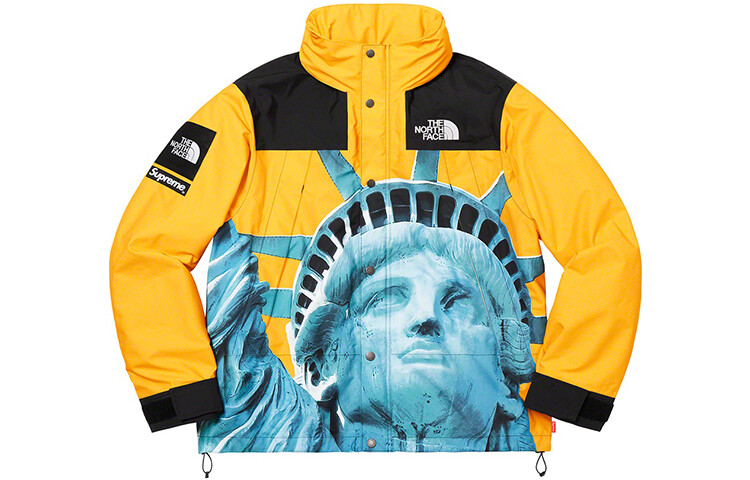 Куртка North Face X Tnf Joint Series Outdoor унисекс Supreme — фото 2