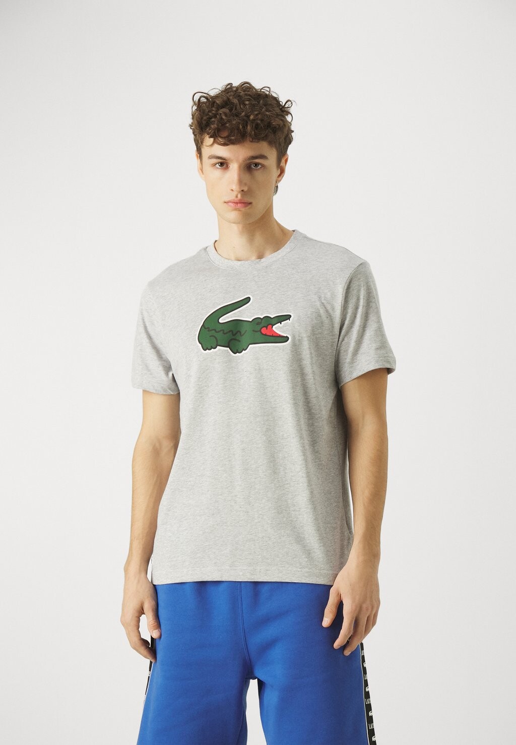 

Футболка с принтом Printed Sports T-Shirt Lacoste, цвет silver chine