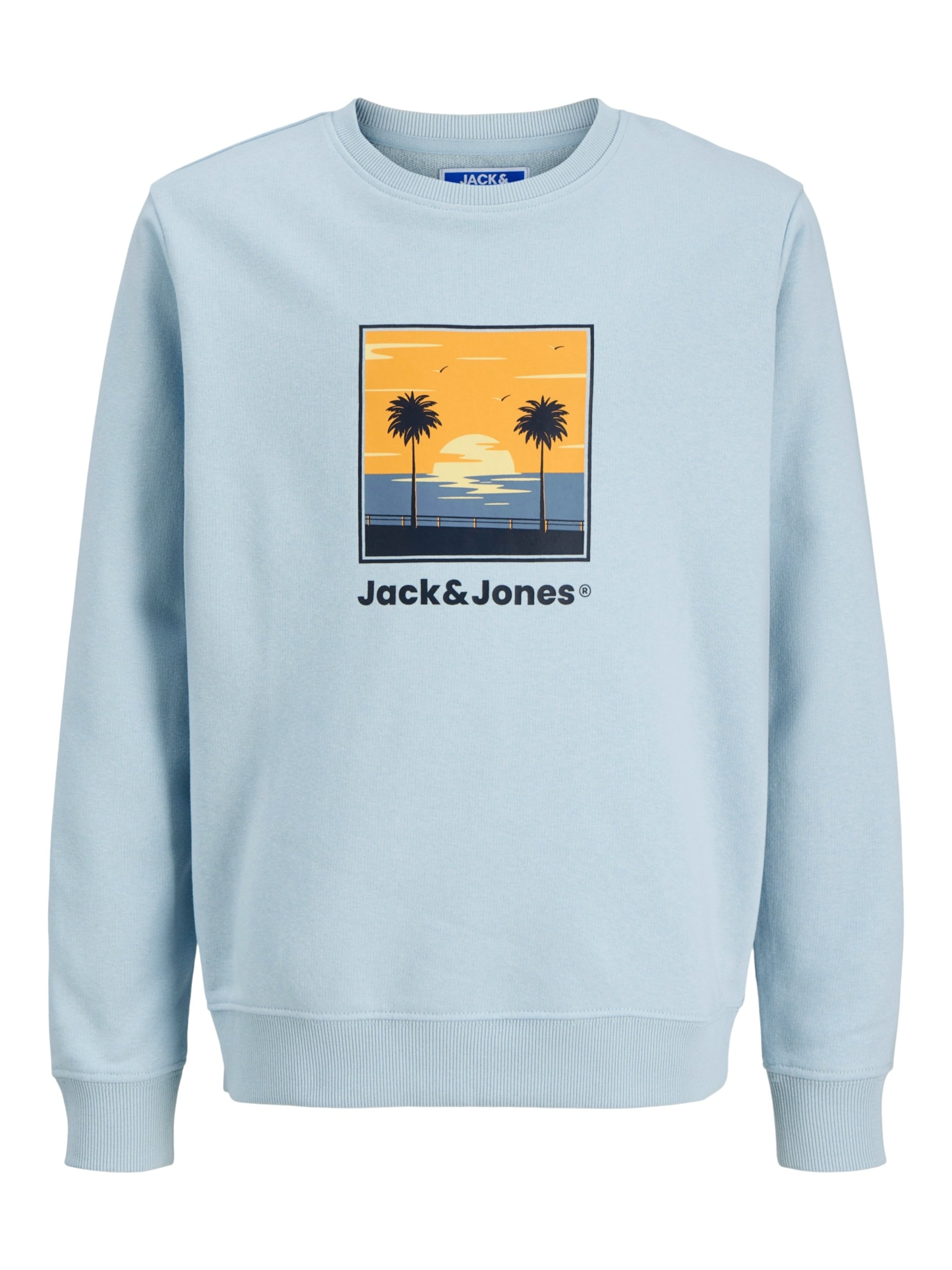 Jack & Jones Junior Толстовка 'Perry' в светло-голубом цвете