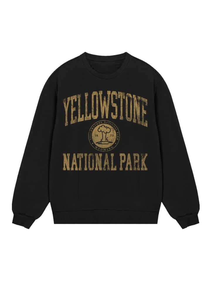 

Толстовка F4NT4STIC, черный