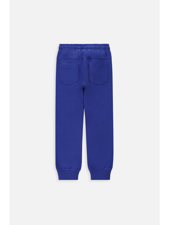 

Спортивные брюки Coccodrillo, синий