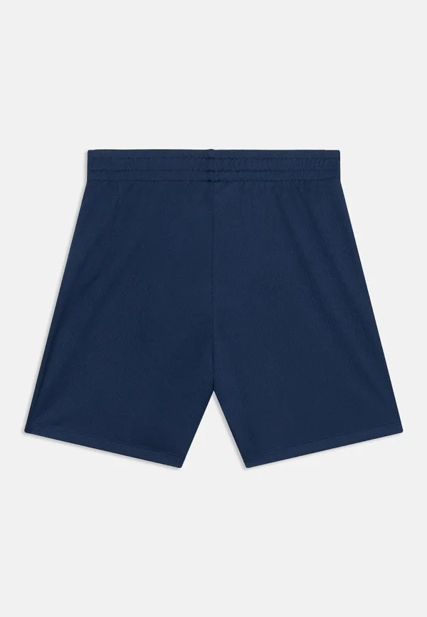 Подростковые спортивные шорты унисекс из полиэстера The North Face, Summit Navy — фото 2