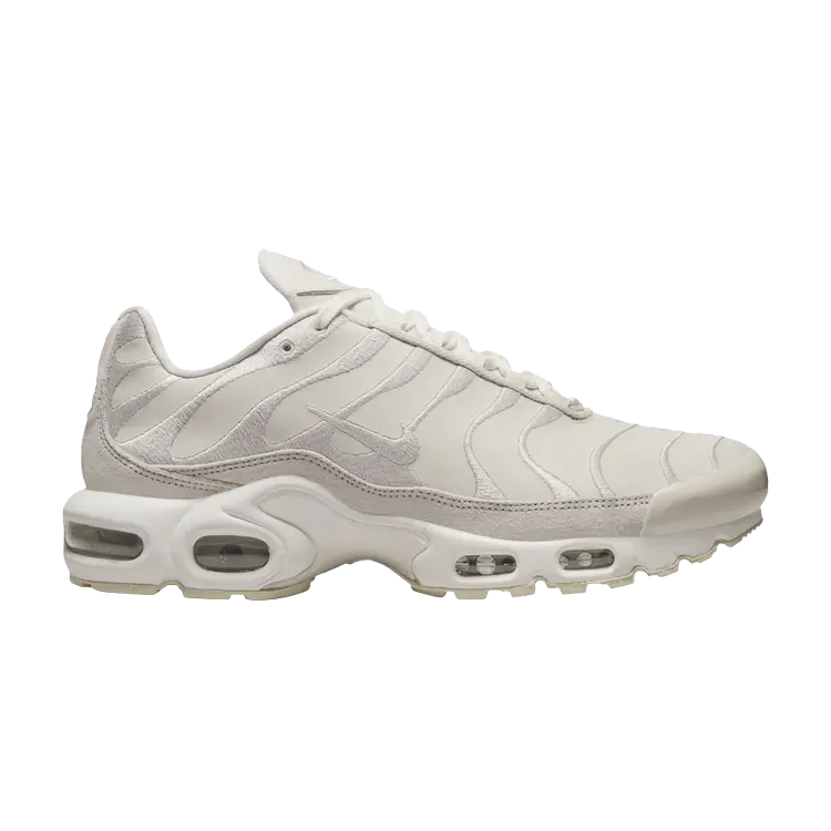 Кроссовки Nike Wmns Air Max Plus Premium, коричневый