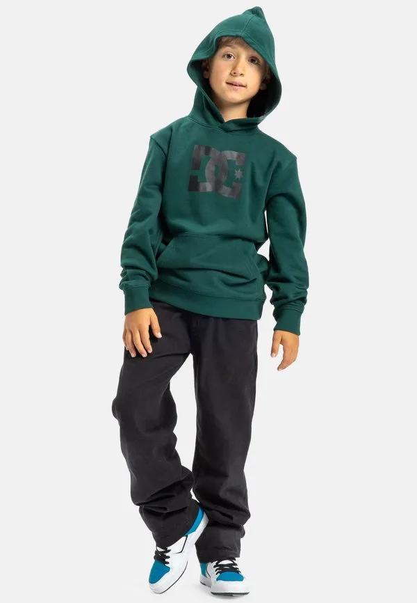 Толстовка с капюшоном Dc Shoes, Gtp Ponderosa Pine