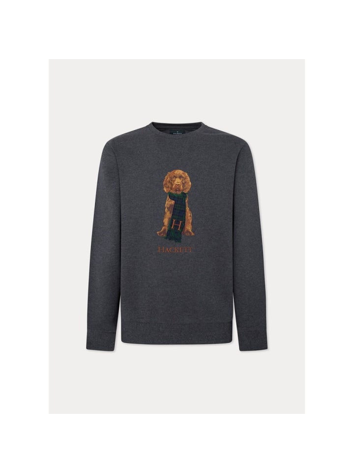 

Толстовка Hackett London, серый