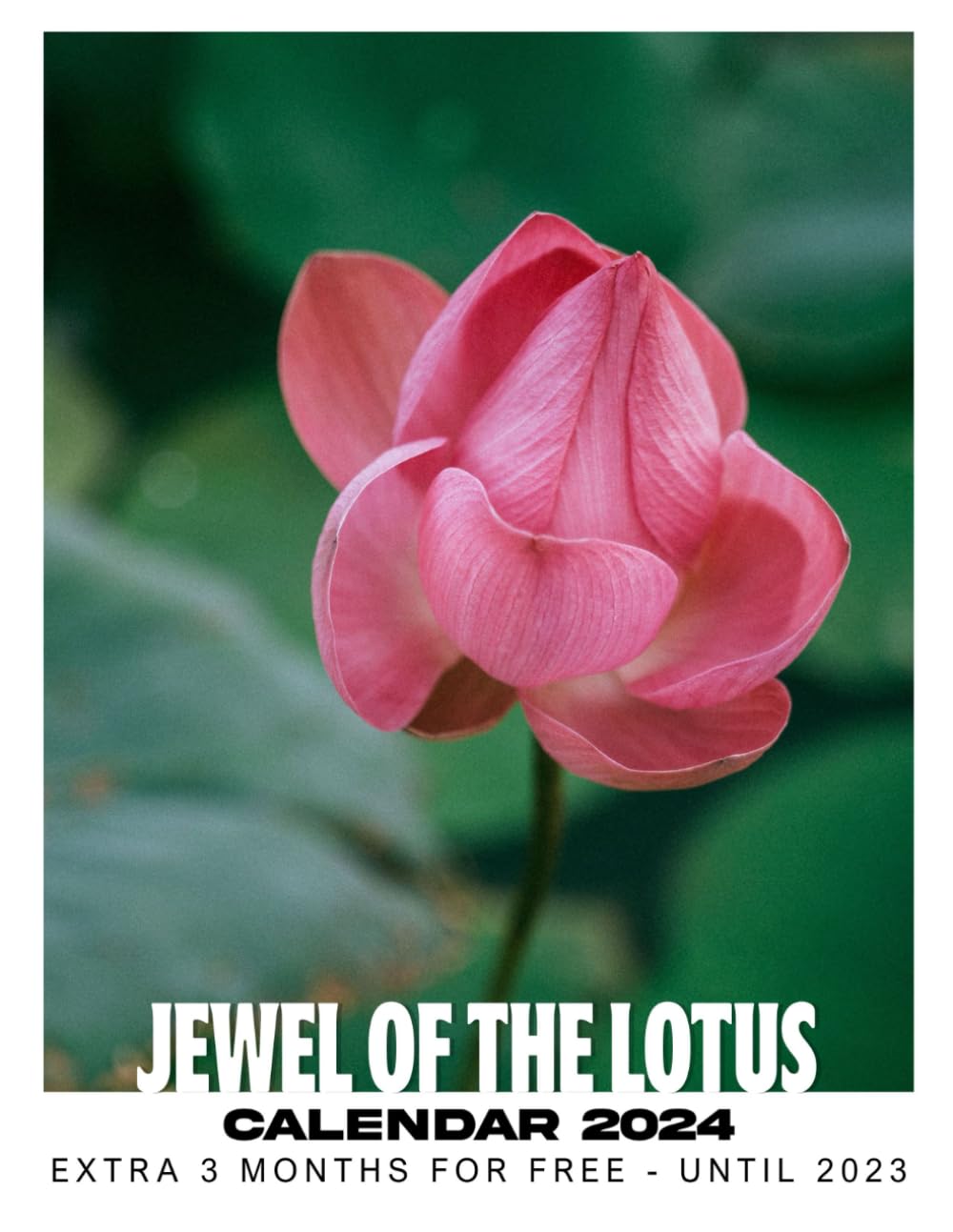 

Calendar 2024: Great Gift For Beloved Fan and Collectors, Jan 2024 to Mar 2025, Eco Friendly, Major US Holidays (Independently published)