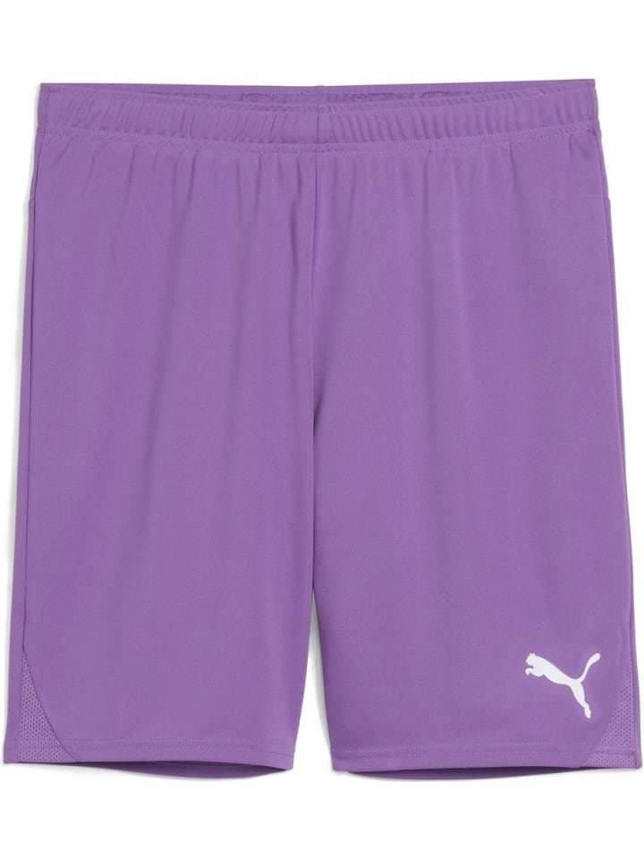 

Спортивные шорты TeamGoal Shorts фиолетового цвета Puma