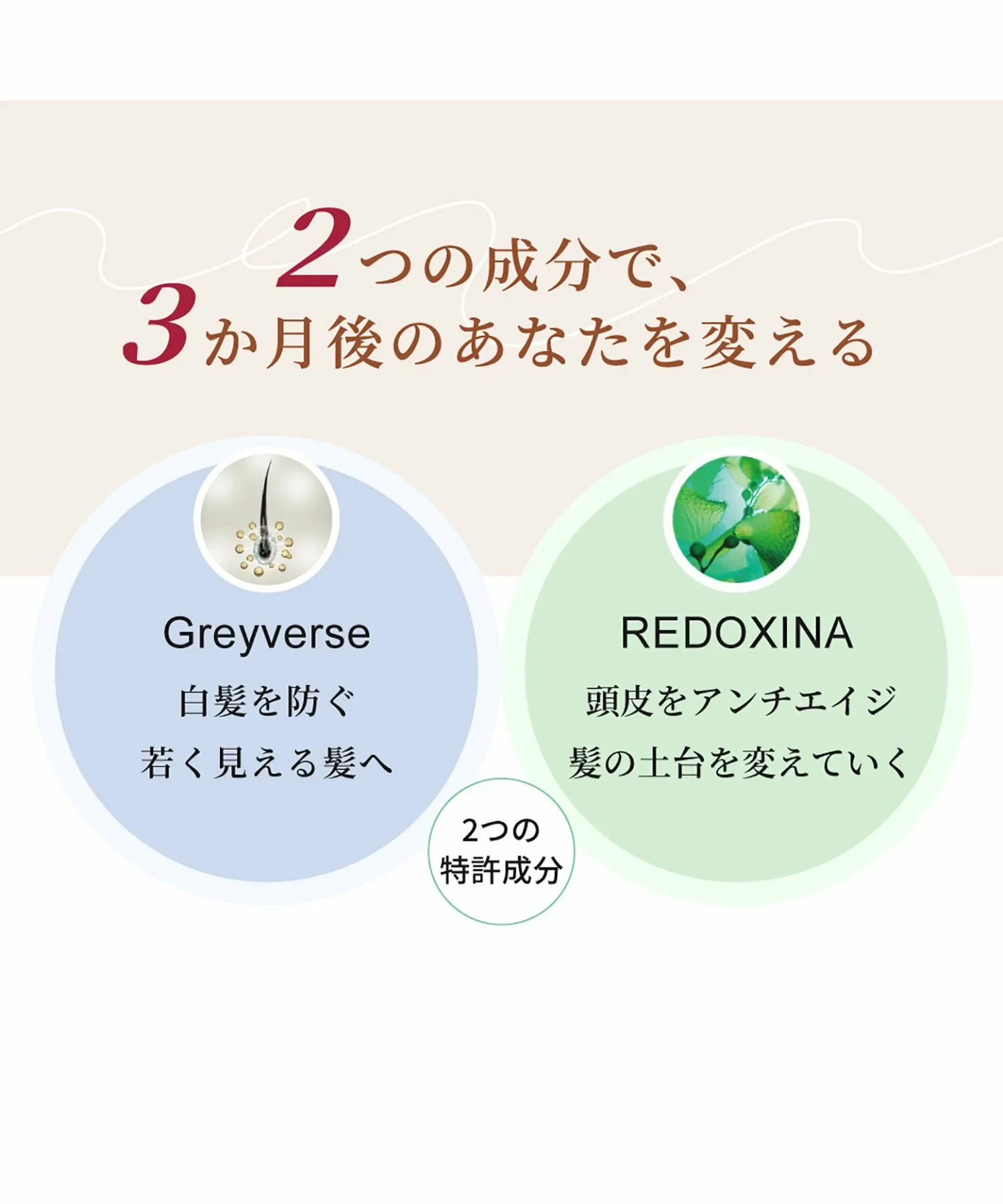 GH антиседой лосьон для ухода за сединой и возрастными изменениями, Grayverse, профессиональный продукт для салонов, блеск, уход за кожей головы Elgon, others — фото 2
