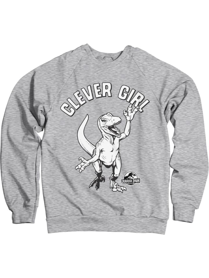 

Свитер Jurassic Park, серый