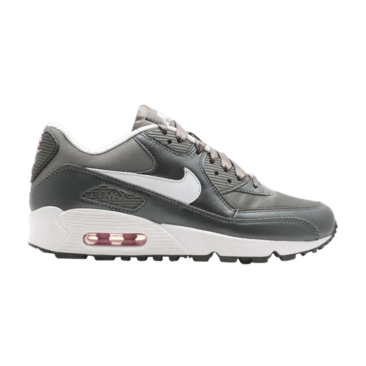 Кроссовки Nike Wmns Air Max 90