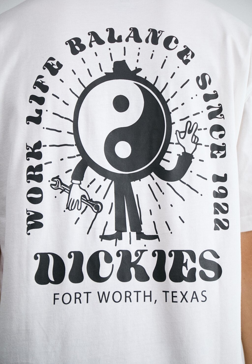 

Футболка с принтом MONTROSS TEE Dickies, белый