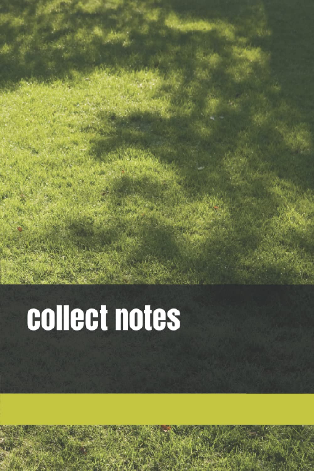 

carnet de notes: agenda (French Edition)