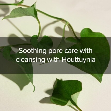 Пенка для умывания Mary&May — Houttuynia Cordata + Tea Tree Cleansing Foam / - Очищающее средство для ухода за порами, 150 мл — фото 3