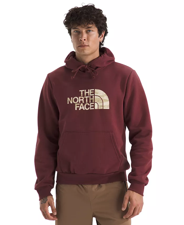 

Мужская толстовка Evolution Edge of Light Half Dome с капюшоном The North Face, коричневый